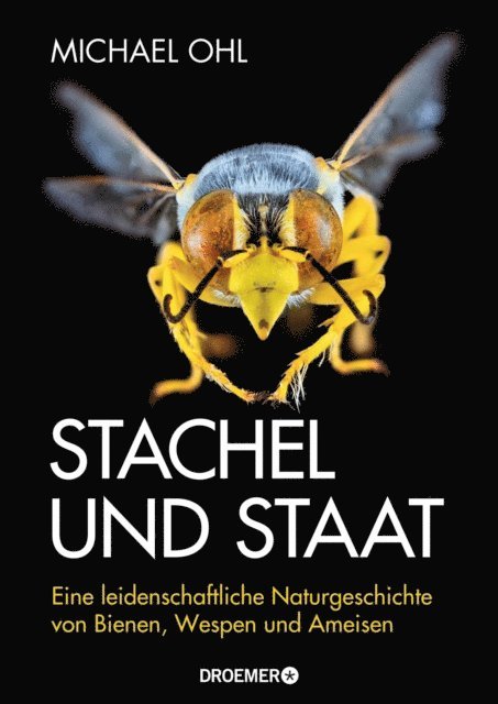 Michael Ohl - Stachel und Staat, E-bok