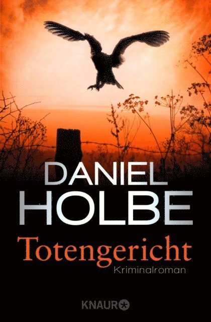Daniel Holbe - Totengericht, E-bok