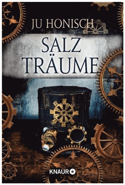 Ju Honisch - Salzträume, E-bok