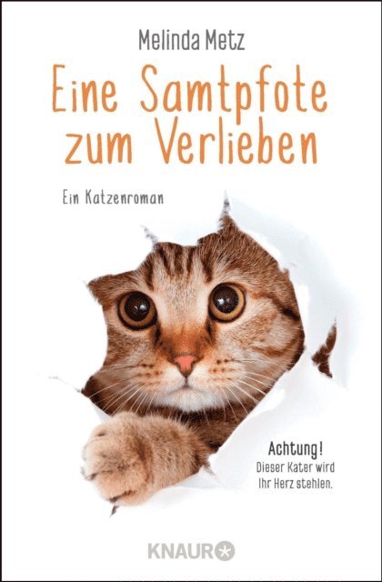 Eine Samtpfote zum Verlieben