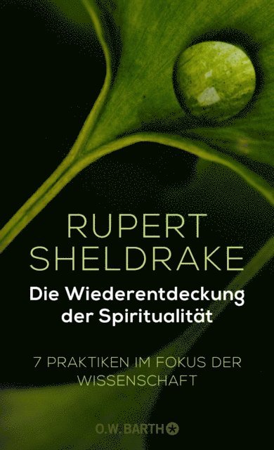 Rupert Sheldrake - Die Wiederentdeckung der Spiritualität, E-bok