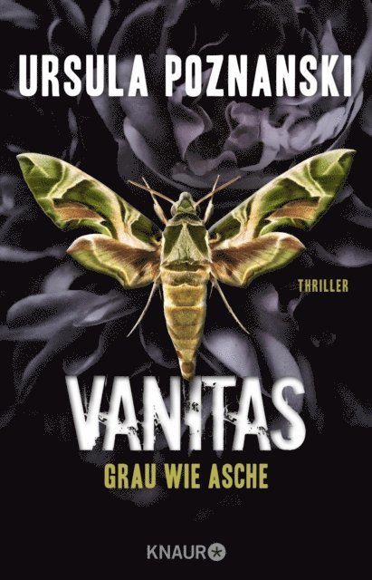 Ursula Poznanski - VANITAS - Grau wie Asche, E-bok