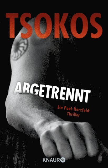 Prof. Dr. Michael Tsokos - Abgetrennt, E-bok