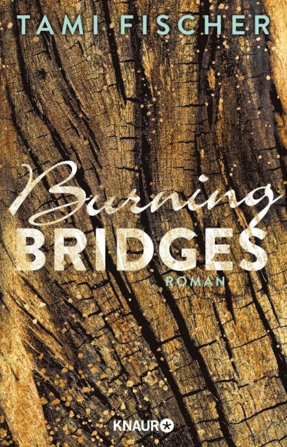 Tami Fischer - Burning Bridges, E-bok
