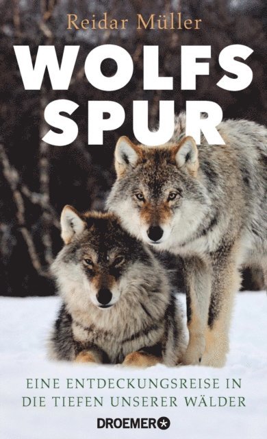 Reidar Muller - Wolfsspur, E-bok