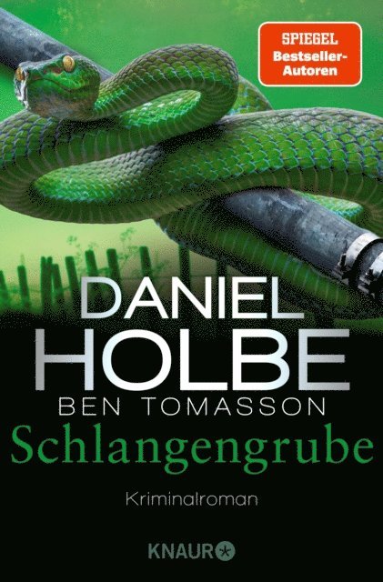 Ben Tomasson, Daniel Holbe - Schlangengrube, E-bok