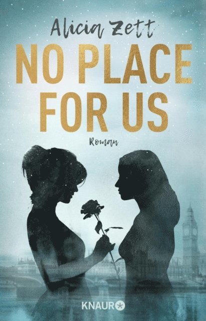 Alicia Zett - No Place For Us, E-bok