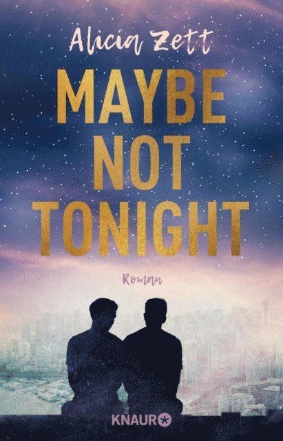Alicia Zett - Maybe Not Tonight, E-bok