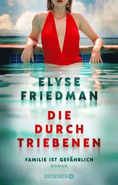Elyse Friedman - Die Durchtriebenen, E-bok