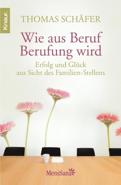 Thomas Schafer - Wie aus Beruf Berufung wird, E-bok