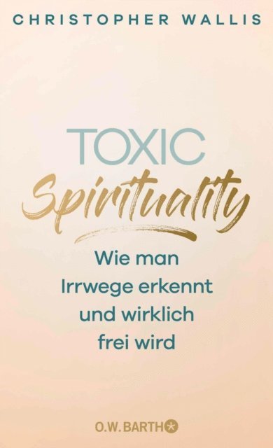 Christopher Wallis - Toxic Spirituality, E-bok