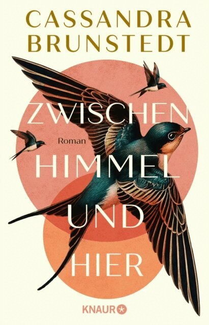 Cassandra Brunstedt - Zwischen Himmel und hier, E-bok