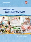 Lernfelder Hauswirtschaft. 2. und 3. Ausbildungsjahr: Schlerband