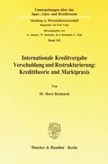 Internationale Kreditvergabe, Verschuldung Und Restrukturierung: Kredittheorie Und Marktpraxis