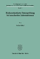 Risikoorientierte Datenprufung Bei Unscharfen Informationen