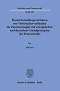 Musterfeststellungsverfahren Von Verbraucherverbanden Im Zusammenspiel Mit Europaischen Und Deutschen Grundprinzipien Des Prozessrechts