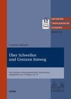 Cornelia Aßmann - Über Schwellen und Grenzen hinweg, Häftad
