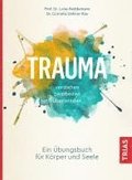 Trauma verstehen, bearbeiten, berwinden