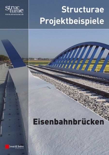 Ernst & Sohn - Structurae Projektbeispiele Eisenbahnbrücken, E-bok