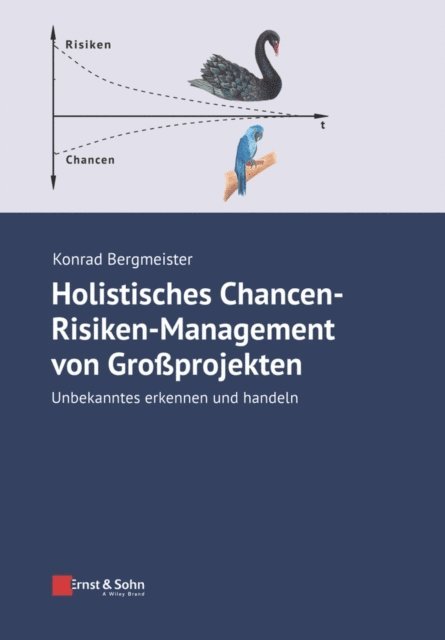 Konrad Bergmeister - Holistisches Chancen-Risiken-Management von Grossprojekten, E-bok