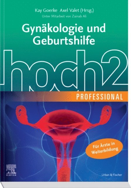 Axel Valet, Kay Goerke - Gynäkologie und Geburtshilfe hoch2 professional, E-bok