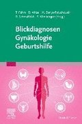 Blickdiagnosen Gyn?kologie/ Geburtshilfe