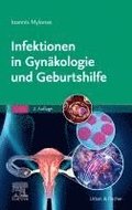 Infektionen in Gyn?kologie und Geburtshilfe