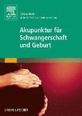 Akupunktur für Schwangerschaft und Geburt