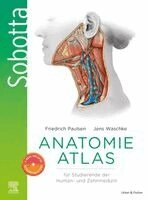 Peter Proff, Friedrich Paulsen, Jens Waschke - Sobotta Anatomie Atlas für Studierende der Human- und Zahnmedizin + E-Book mit interaktiven Inhalten, Häftad