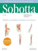 Jens Waschke, Friedrich Paulsen - Sobotta Tabellen zu Muskeln, Gelenken und Nerven, Häftad