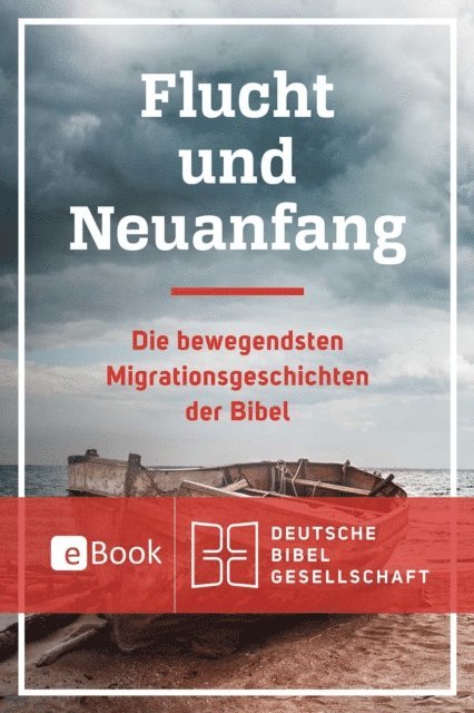Elsa Tamez - Flucht und Neuanfang, E-bok
