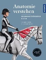 Anatomie verstehen - Pferde gesundheitsf�rdernd reiten - Das Praxisbuch