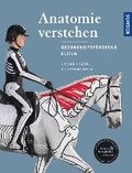 Anatomie verstehen - Pferde gesundheitsfrdernd reiten - Das Praxisbuch