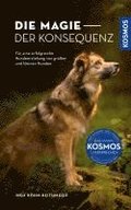 Die Magie der Konsequenz