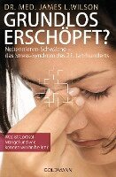 James L. Wilson - Grundlos erschöpft?, Häftad