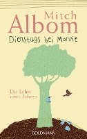 Mitch Albom - Dienstags bei Morrie, Häftad