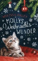 Mollys Weihnachtswunder