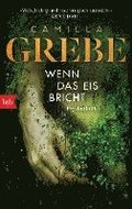 Wenn das Eis bricht