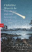 Christine Wunnicke - Die Dame mit der bemalten Hand, Häftad
