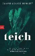 Teich