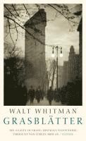 Walt Whitman - Grasblätter, Inbunden