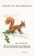 Das Leben der Eichh�rnchen