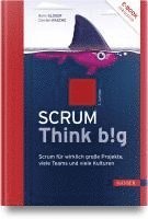 Boris Gloger, Carsten Rasche - Scrum Think big, Övrigt