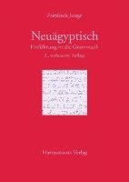 Friedrich Junge - Einfuhrung in Die Grammatik Des Neuagyptischen, Häftad