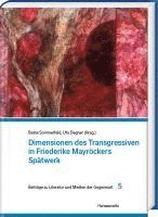 Dimensionen Des Transgressiven in Friederike Mayrockers Spatwerk