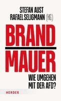 Stefan Aust, Rafael Seligmann - Brandmauer, Inbunden