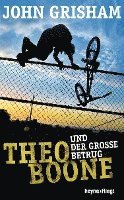 John Grisham - Theo Boone und der große Betrug, Inbunden. Tillgänglighet: Lägg i varukorg