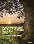 Das geheime Leben der Bume