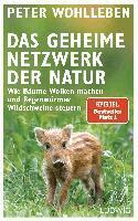 Peter Wohlleben - Das geheime Netzwerk der Natur, Inbunden