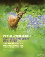 Peter Wohlleben - Das Seelenleben der Tiere. Der Bildband, Inbunden. Tillgänglighet: Lägg i varukorg